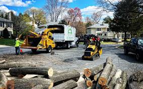 Lawn Drainage Solutions in Clay, AL